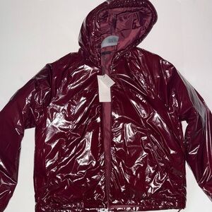 Zara Shiny Maroon Hooded Windbreaker